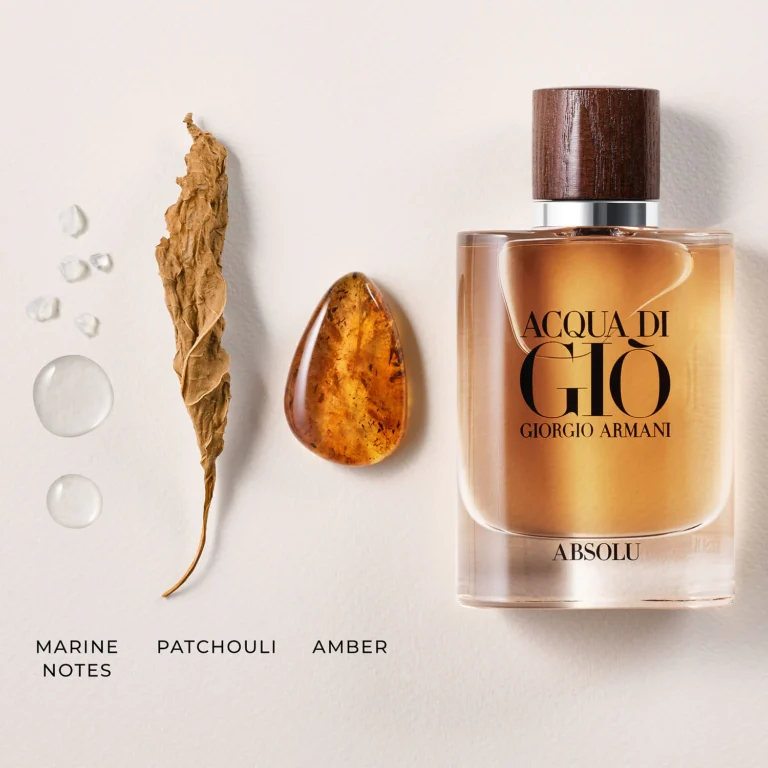 Giorgio Armani - ACQUA DI GIO ABSOLU (M) 4.2 FL.OZ — Sally's Boutique Georgetown