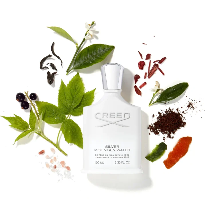 CREED SILVER MOUNTAIN WATER FOR MEN 3.3OZ — Sally's Boutique Georgetown