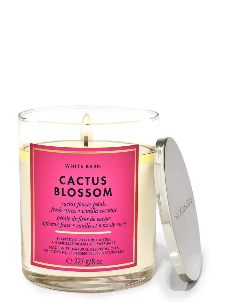 CACTUS BLOSSOM SINGLE WICK CANDLE 7OZ — Sally's Boutique Georgetown