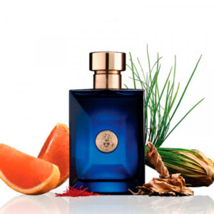 Versace Dylan Blue 100ml